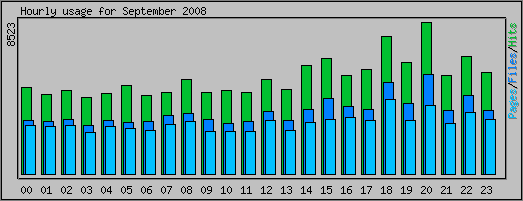 Hourly usage