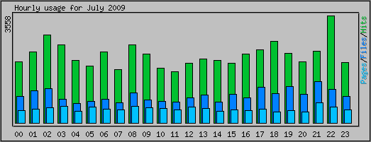 Hourly usage